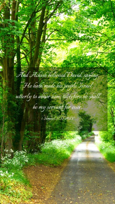 Picture 03 - 1 Samuel 27:12 ASV Mobile Phone Wallpaper - And Achish believed David, saying, He hath made - Mobile Bible Verse Wallpaper