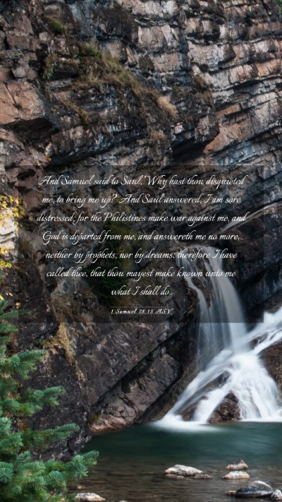 Picture 03 - 1 Samuel 28:15 ASV Mobile Phone Wallpaper - And Samuel said to Saul, Why hast thou disquieted - Mobile Bible Verse Wallpaper