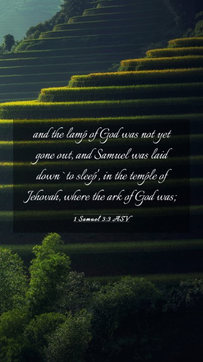 Picture 03 - 1 Samuel 3:3 ASV Mobile Phone Wallpaper - and the lamp of God was not yet gone out, and - Mobile Bible Verse Wallpaper