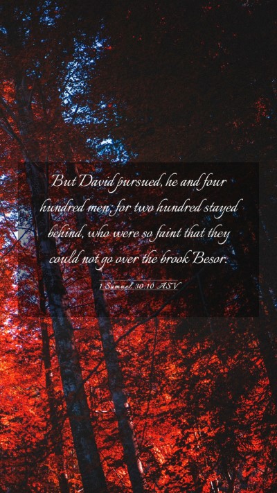 Picture 03 - 1 Samuel 30:10 ASV Mobile Phone Wallpaper - But David pursued, he and four hundred men; for - Mobile Bible Verse Wallpaper