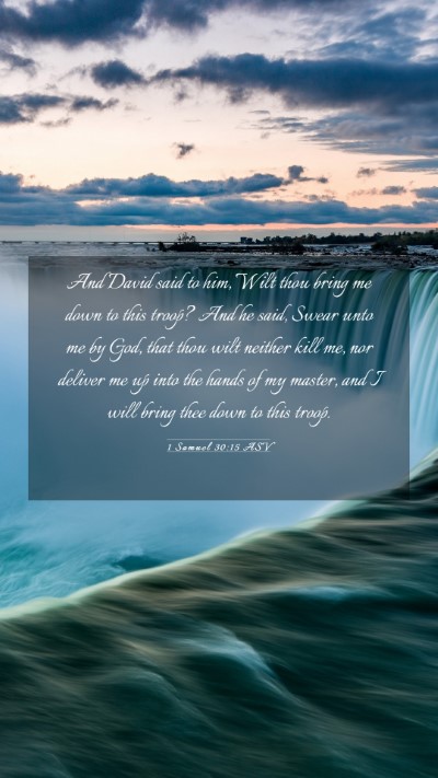 Picture 03 - 1 Samuel 30:15 ASV Mobile Phone Wallpaper - And David said to him, Wilt thou bring me down to - Mobile Bible Verse Wallpaper
