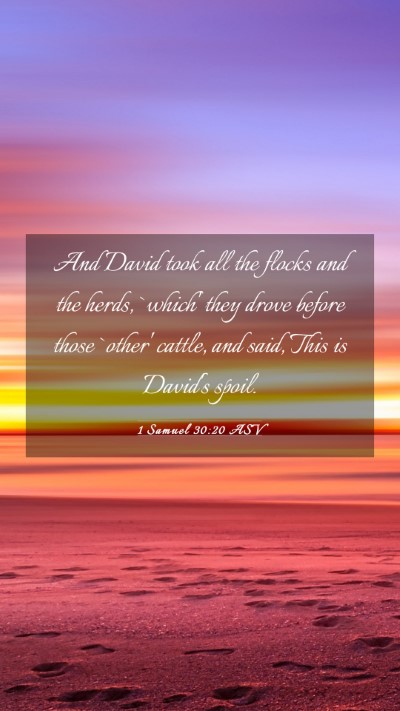 Picture 03 - 1 Samuel 30:20 ASV Mobile Phone Wallpaper - And David took all the flocks and the herds, - Mobile Bible Verse Wallpaper