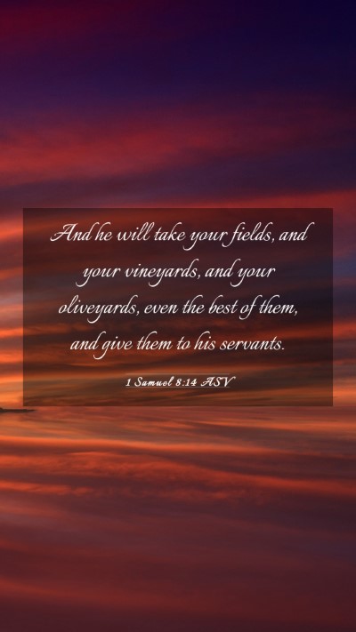 Picture 03 - 1 Samuel 8:14 ASV Mobile Phone Wallpaper - And he will take your fields, and your vineyards, - Mobile Bible Verse Wallpaper