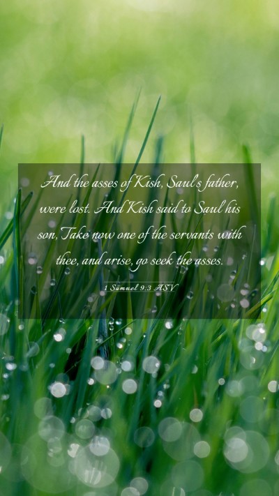 Picture 03 - 1 Samuel 9:3 ASV Mobile Phone Wallpaper - And the asses of Kish, Saul's father, were lost. - Mobile Bible Verse Wallpaper