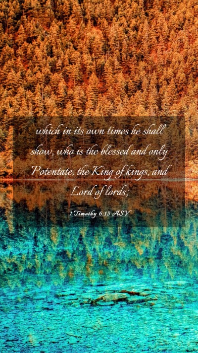 Picture 03 - 1 Timothy 6:15 ASV Mobile Phone Wallpaper - which in its own times he shall show, who is the - Mobile Bible Verse Wallpaper