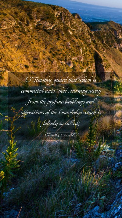 Picture 03 - 1 Timothy 6:20 ASV Mobile Phone Wallpaper - O Timothy, guard that which is committed unto - Mobile Bible Verse Wallpaper