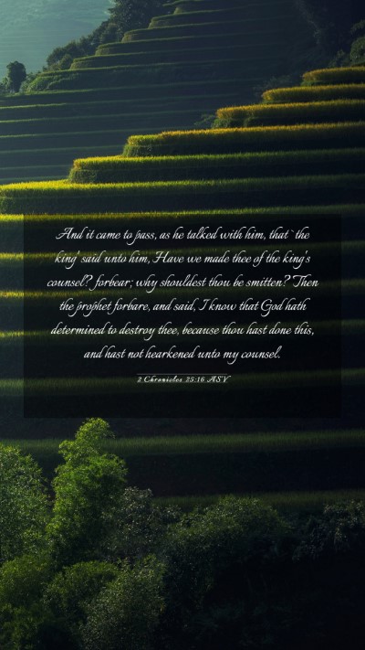 Picture 03 - 2 Chronicles 25:16 ASV Mobile Phone Wallpaper - And it came to pass, as he talked with him, that - Mobile Bible Verse Wallpaper