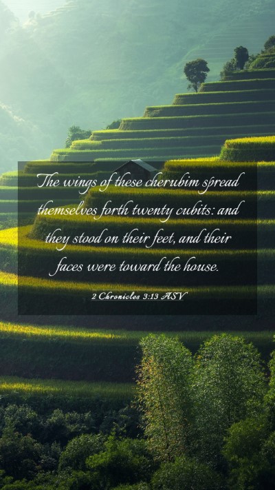Picture 03 - 2 Chronicles 3:13 ASV Mobile Phone Wallpaper - The wings of these cherubim spread themselves - Mobile Bible Verse Wallpaper