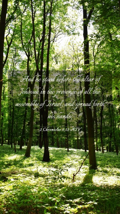 Picture 03 - 2 Chronicles 6:12 ASV Mobile Phone Wallpaper - And he stood before the altar of Jehovah in the - Mobile Bible Verse Wallpaper