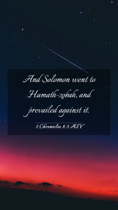 Picture 03 - 2 Chronicles 8:3 ASV Mobile Phone Wallpaper - And Solomon went to Hamath-zobah, and prevailed - Mobile Bible Verse Wallpaper