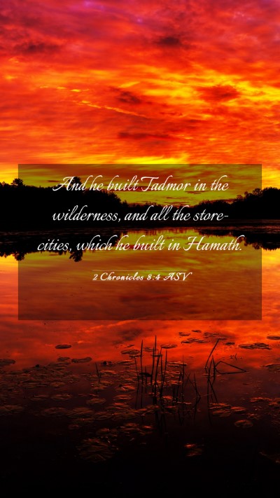 Picture 03 - 2 Chronicles 8:4 ASV Mobile Phone Wallpaper - And he built Tadmor in the wilderness, and all - Mobile Bible Verse Wallpaper