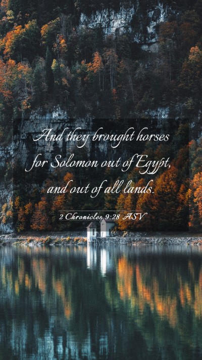 Picture 03 - 2 Chronicles 9:28 ASV Mobile Phone Wallpaper - And they brought horses for Solomon out of Egypt, - Mobile Bible Verse Wallpaper