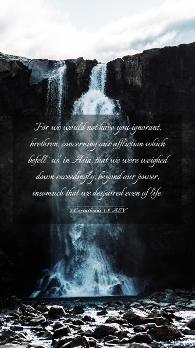 Picture 03 - 2 Corinthians 1:8 ASV Mobile Phone Wallpaper - For we would not have you ignorant, brethren, - Mobile Bible Verse Wallpaper