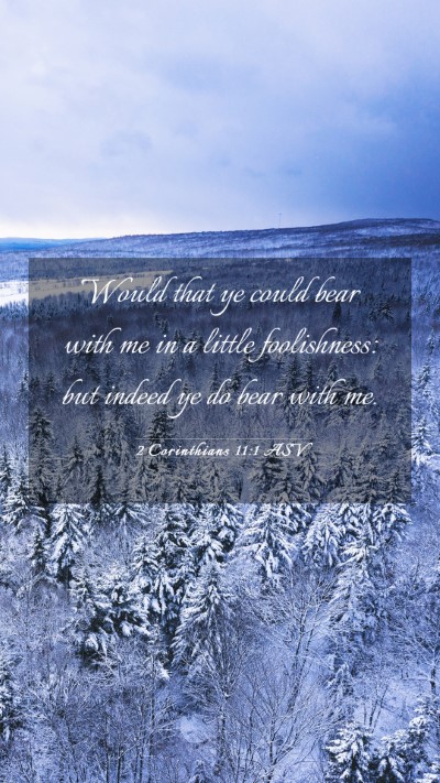 Picture 03 - 2 Corinthians 11:1 ASV Mobile Phone Wallpaper - Would that ye could bear with me in a little - Mobile Bible Verse Wallpaper