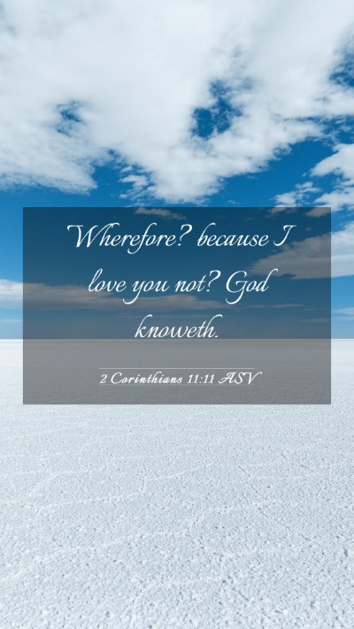 Picture 03 - 2 Corinthians 11:11 ASV Mobile Phone Wallpaper - Wherefore? because I love you not? God - Mobile Bible Verse Wallpaper
