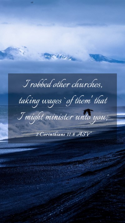 Picture 03 - 2 Corinthians 11:8 ASV Mobile Phone Wallpaper - I robbed other churches, taking wages `of them' - Mobile Bible Verse Wallpaper
