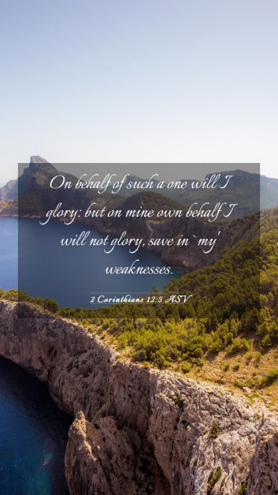 Picture 03 - 2 Corinthians 12:5 ASV Mobile Phone Wallpaper - On behalf of such a one will I glory: but on mine - Mobile Bible Verse Wallpaper