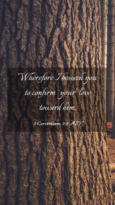Picture 03 - 2 Corinthians 2:8 ASV Mobile Phone Wallpaper - Wherefore I beseech you to confirm `your' love - Mobile Bible Verse Wallpaper