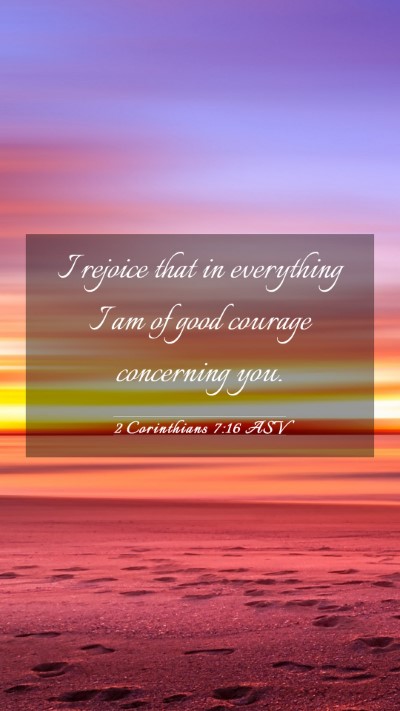 Picture 03 - 2 Corinthians 7:16 ASV Mobile Phone Wallpaper - I rejoice that in everything I am of good courage - Mobile Bible Verse Wallpaper