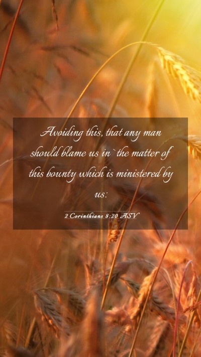 Picture 03 - 2 Corinthians 8:20 ASV Mobile Phone Wallpaper - Avoiding this, that any man should blame us in - Mobile Bible Verse Wallpaper