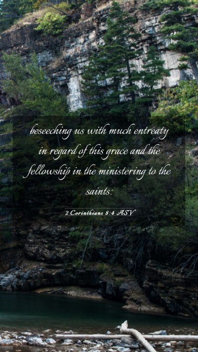 Picture 03 - 2 Corinthians 8:4 ASV Mobile Phone Wallpaper - beseeching us with much entreaty in regard of - Mobile Bible Verse Wallpaper