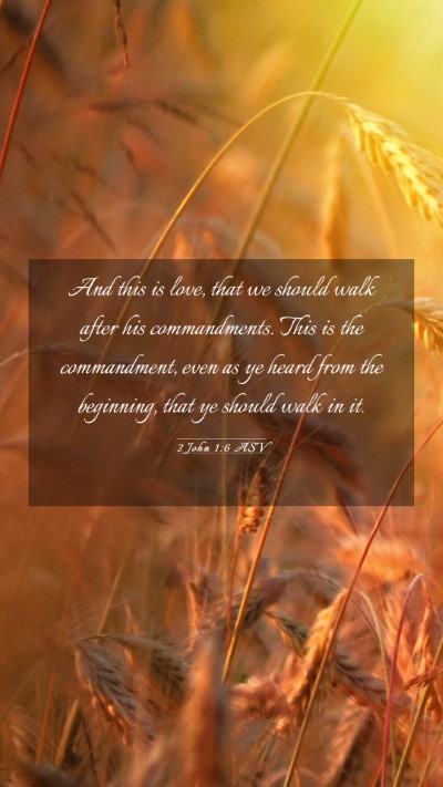 Picture 03 - 2 John 1:6 ASV Mobile Phone Wallpaper - And this is love, that we should walk after his - Mobile Bible Verse Wallpaper