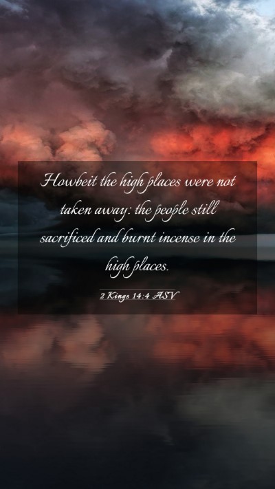 Picture 03 - 2 Kings 14:4 ASV Mobile Phone Wallpaper - Howbeit the high places were not taken away: the - Mobile Bible Verse Wallpaper