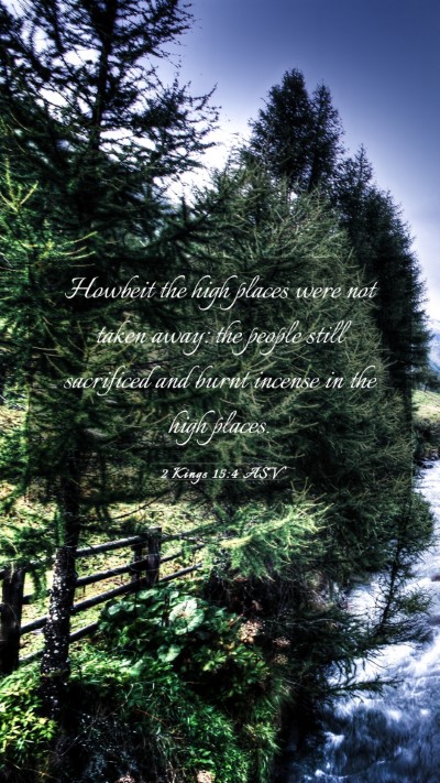 Picture 03 - 2 Kings 15:4 ASV Mobile Phone Wallpaper - Howbeit the high places were not taken away: the - Mobile Bible Verse Wallpaper