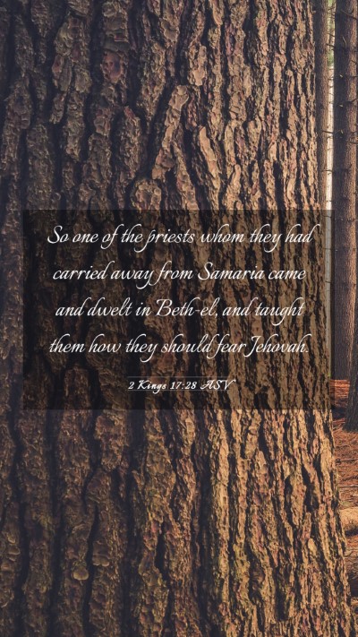 Picture 03 - 2 Kings 17:28 ASV Mobile Phone Wallpaper - So one of the priests whom they had carried away - Mobile Bible Verse Wallpaper