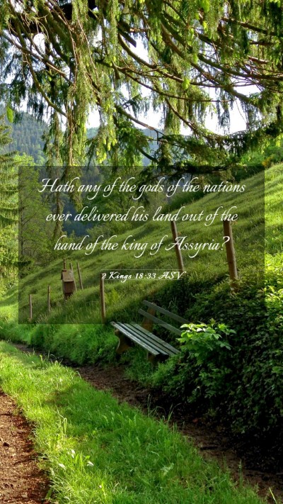 Picture 03 - 2 Kings 18:33 ASV Mobile Phone Wallpaper - Hath any of the gods of the nations ever - Mobile Bible Verse Wallpaper