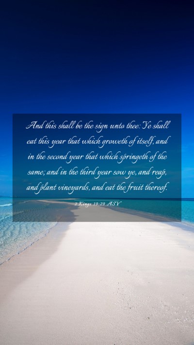 Picture 03 - 2 Kings 19:29 ASV Mobile Phone Wallpaper - And this shall be the sign unto thee: Ye shall - Mobile Bible Verse Wallpaper