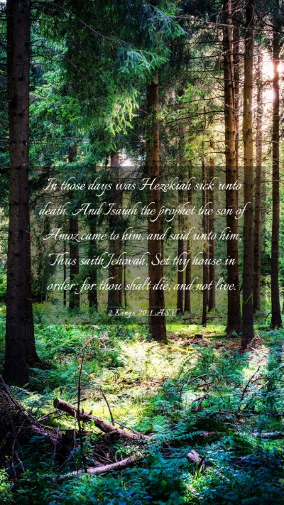 Picture 03 - 2 Kings 20:1 ASV Mobile Phone Wallpaper - In those days was Hezekiah sick unto death. And - Mobile Bible Verse Wallpaper
