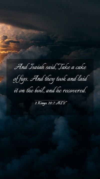 Picture 03 - 2 Kings 20:7 ASV Mobile Phone Wallpaper - And Isaiah said, Take a cake of figs. And they - Mobile Bible Verse Wallpaper