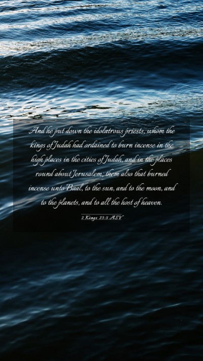 Picture 03 - 2 Kings 23:5 ASV Mobile Phone Wallpaper - And he put down the idolatrous priests, whom the - Mobile Bible Verse Wallpaper