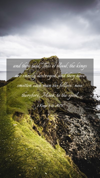 Picture 03 - 2 Kings 3:23 ASV Mobile Phone Wallpaper - and they said, This is blood; the kings are - Mobile Bible Verse Wallpaper