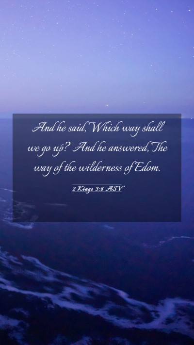 Picture 03 - 2 Kings 3:8 ASV Mobile Phone Wallpaper - And he said, Which way shall we go up? And he - Mobile Bible Verse Wallpaper