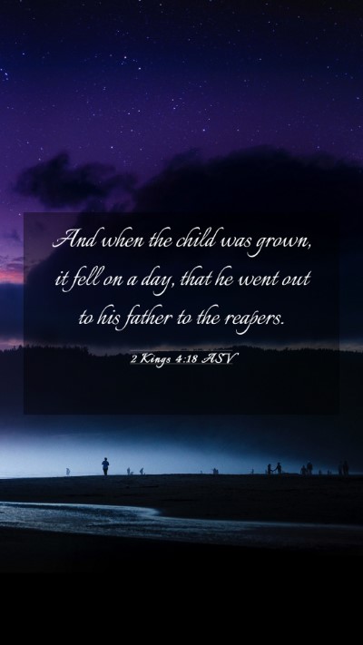 Picture 03 - 2 Kings 4:18 ASV Mobile Phone Wallpaper - And when the child was grown, it fell on a day, - Mobile Bible Verse Wallpaper
