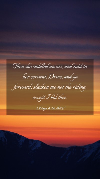 Picture 03 - 2 Kings 4:24 ASV Mobile Phone Wallpaper - Then she saddled an ass, and said to her servant, - Mobile Bible Verse Wallpaper