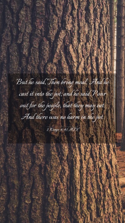 Picture 03 - 2 Kings 4:41 ASV Mobile Phone Wallpaper - But he said, Then bring meal. And he cast it into - Mobile Bible Verse Wallpaper