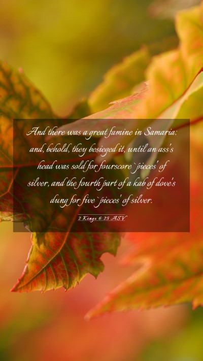 Picture 03 - 2 Kings 6:25 ASV Mobile Phone Wallpaper - And there was a great famine in Samaria: and, - Mobile Bible Verse Wallpaper