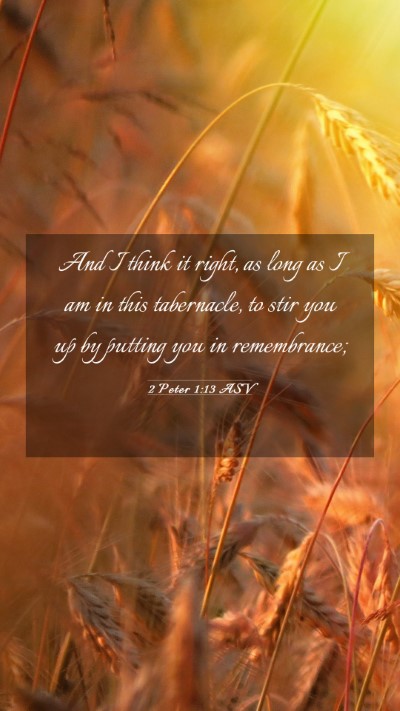 Picture 03 - 2 Peter 1:13 ASV Mobile Phone Wallpaper - And I think it right, as long as I am in this - Mobile Bible Verse Wallpaper