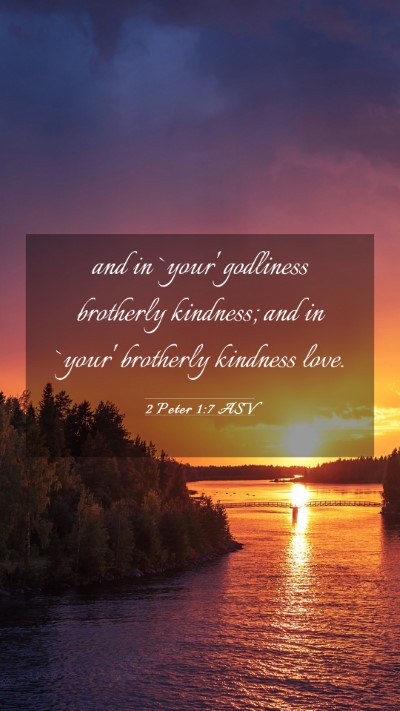 Picture 03 - 2 Peter 1:7 ASV Mobile Phone Wallpaper - and in `your' godliness brotherly kindness; and - Mobile Bible Verse Wallpaper