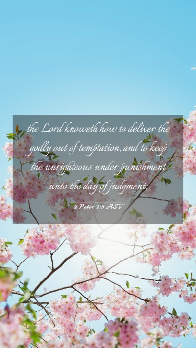 Picture 03 - 2 Peter 2:9 ASV Mobile Phone Wallpaper - the Lord knoweth how to deliver the godly out of - Mobile Bible Verse Wallpaper
