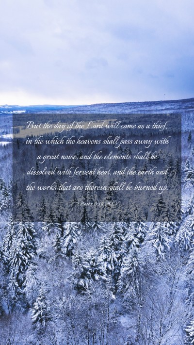 Picture 03 - 2 Peter 3:10 ASV Mobile Phone Wallpaper - But the day of the Lord will come as a thief; in - Mobile Bible Verse Wallpaper
