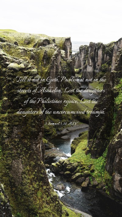 Picture 03 - 2 Samuel 1:20 ASV Mobile Phone Wallpaper - Tell it not in Gath, Publish it not in the - Mobile Bible Verse Wallpaper