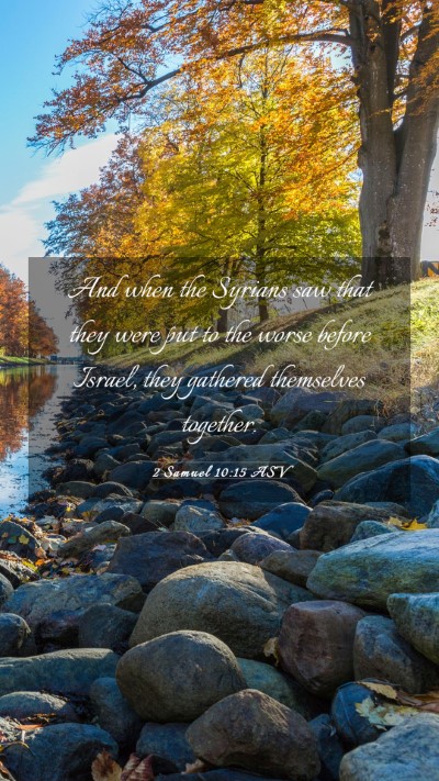 Picture 03 - 2 Samuel 10:15 ASV Mobile Phone Wallpaper - And when the Syrians saw that they were put to - Mobile Bible Verse Wallpaper