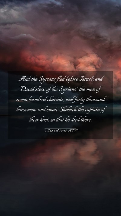 Picture 03 - 2 Samuel 10:18 ASV Mobile Phone Wallpaper - And the Syrians fled before Israel; and David - Mobile Bible Verse Wallpaper