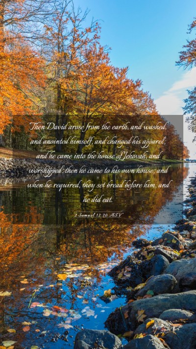 Picture 03 - 2 Samuel 12:20 ASV Mobile Phone Wallpaper - Then David arose from the earth, and washed, and - Mobile Bible Verse Wallpaper