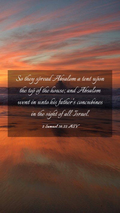 Picture 03 - 2 Samuel 16:22 ASV Mobile Phone Wallpaper - So they spread Absalom a tent upon the top of the - Mobile Bible Verse Wallpaper
