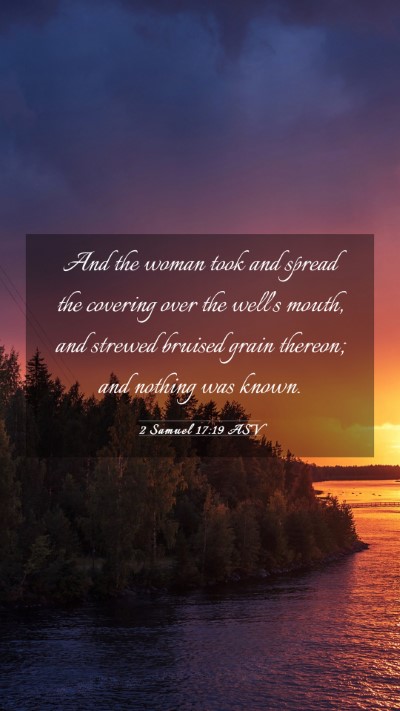 Picture 03 - 2 Samuel 17:19 ASV Mobile Phone Wallpaper - And the woman took and spread the covering over - Mobile Bible Verse Wallpaper